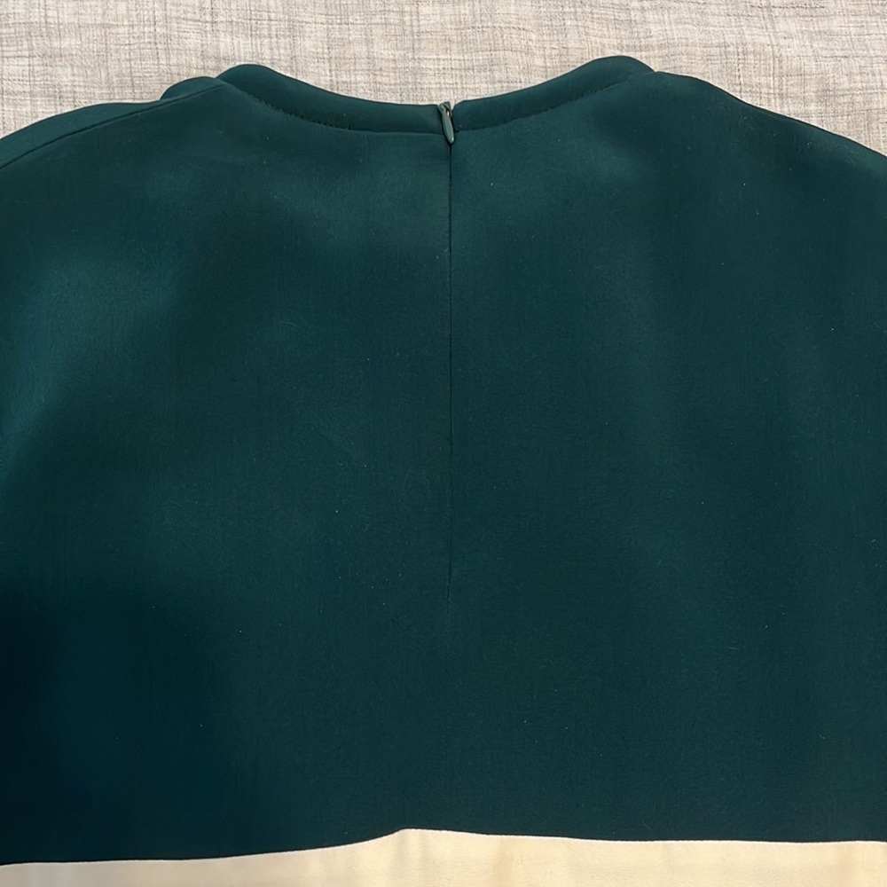 Celine Phoebe Philo color block silk dress green cream - Picture 8 of 13
